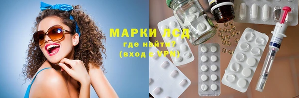 индика Волосово