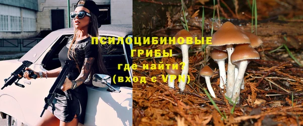 индика Волосово