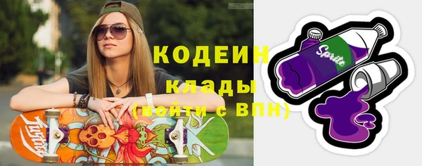 дмт Вяземский