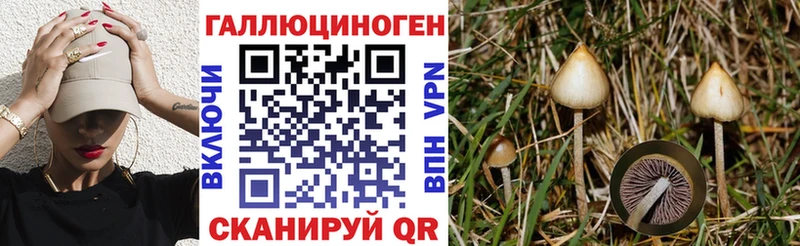 Галлюциногенные грибы Magic Shrooms  мега   Духовщина 